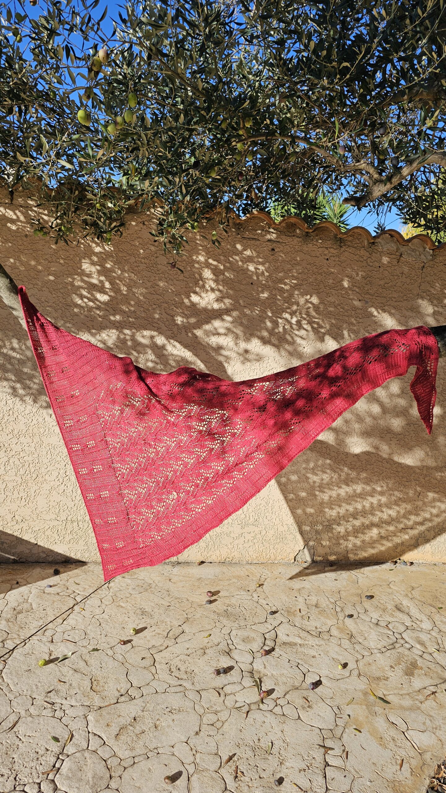 Châle Charlotte – Image 2